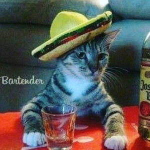 Meet your Posher, Jack